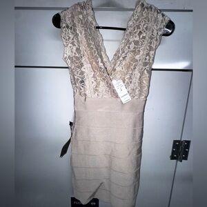 Bebe Sleeveless Lace V-Neck Beige Dress